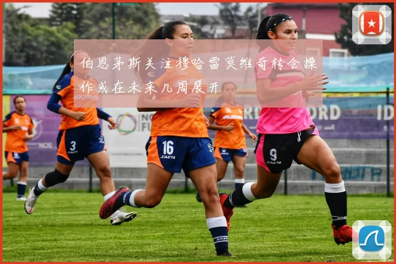 伯恩茅斯关注穆哈雷莫维奇转会操作或在未来几周展开