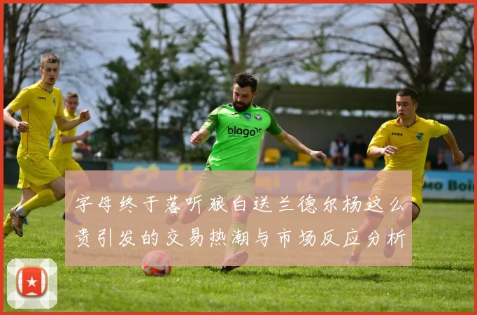 字母终于落听狼白送兰德尔杨这么贵引发的交易热潮与市场反应分析